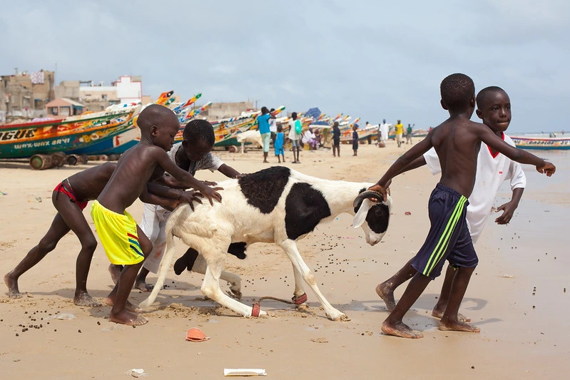 small children images, natural light, children playing on beach, travel diaries