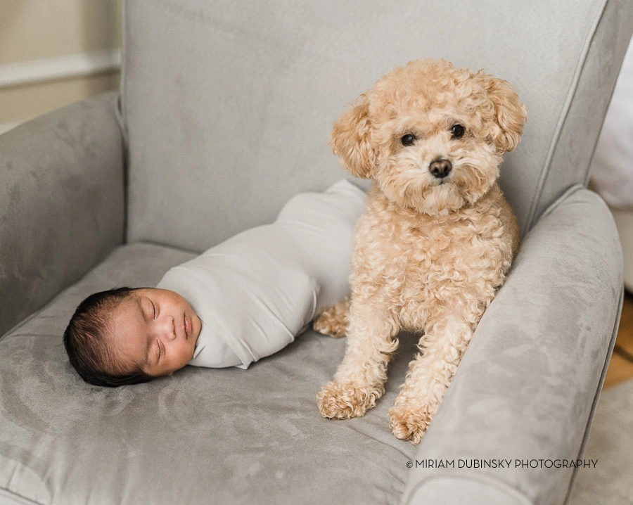 baby with pet, pet photos, newborn photo tips, best photography tips, cute baby pictures,