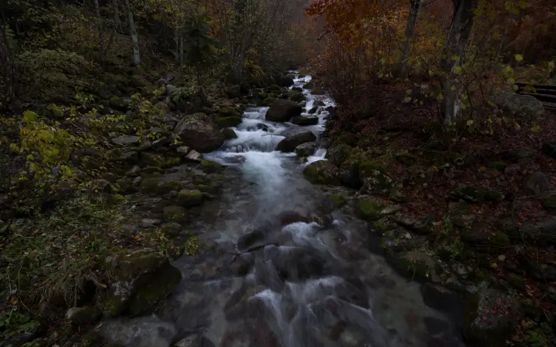 photo of a stream before editing