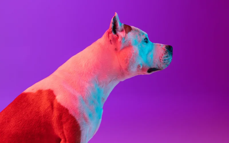 incorporating insights into daily life