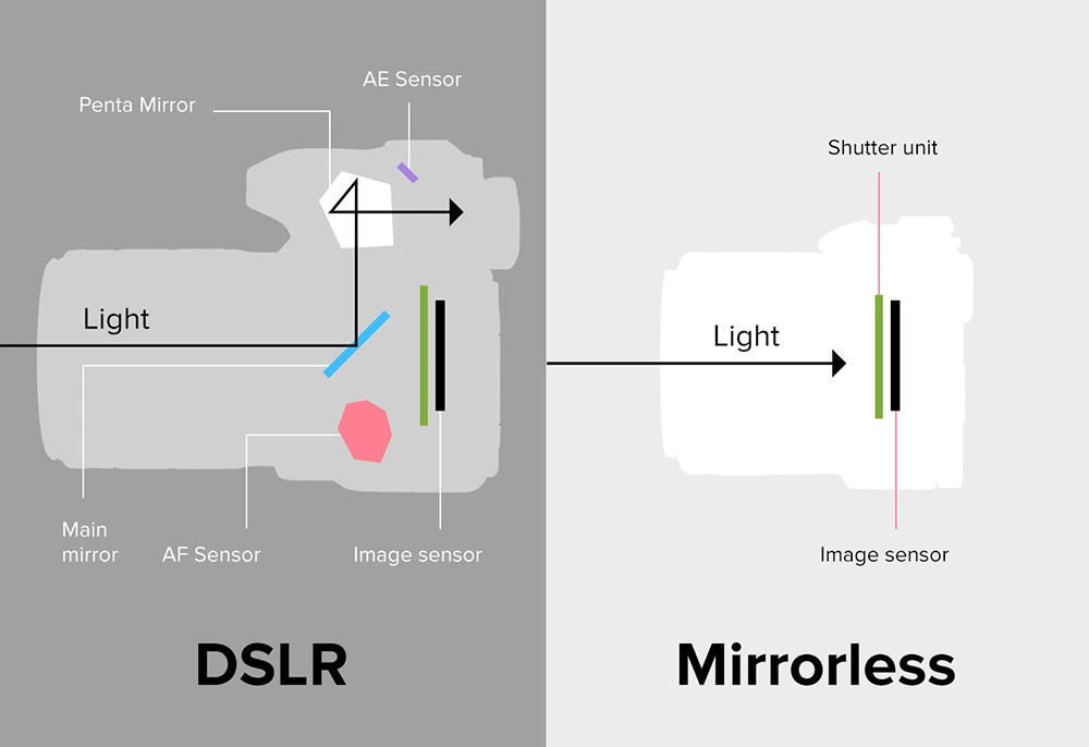 representation of dslr features and mirrorless features