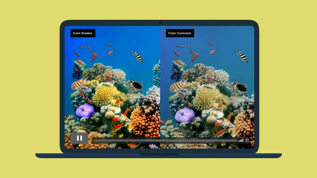 color grading vs color correction examples, color grading examples