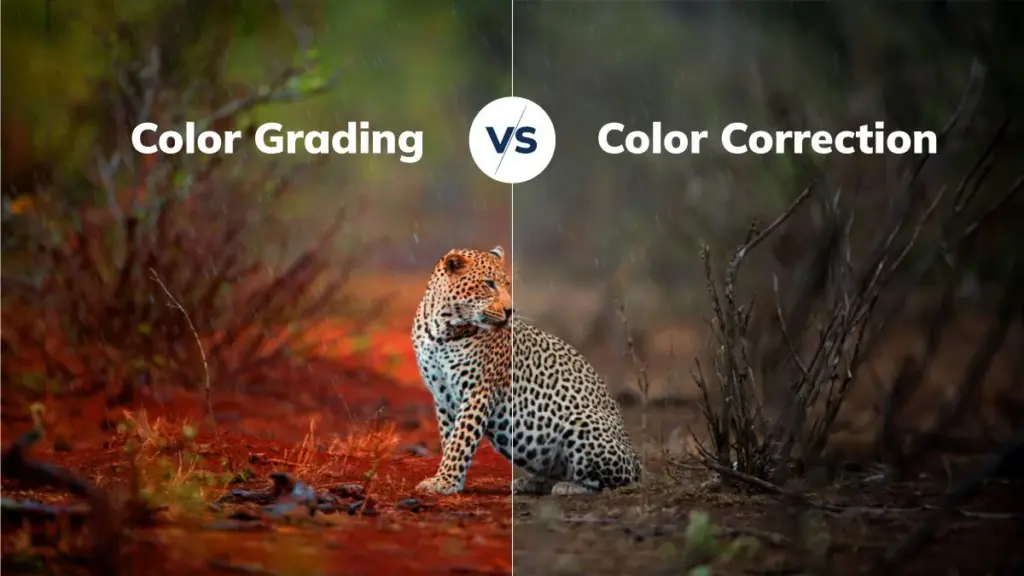 color grading vs color correction examples, color grading examples