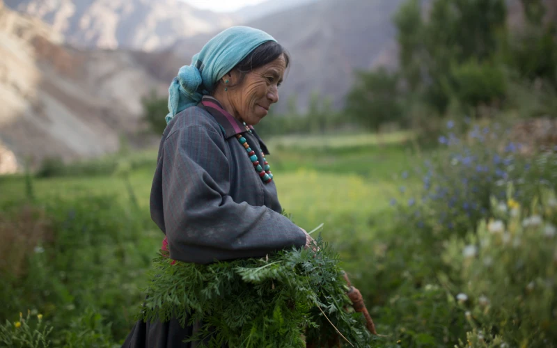 editing portraits in lightroom before, editing landscape photos in photoshop, learn how to edit photos professionally