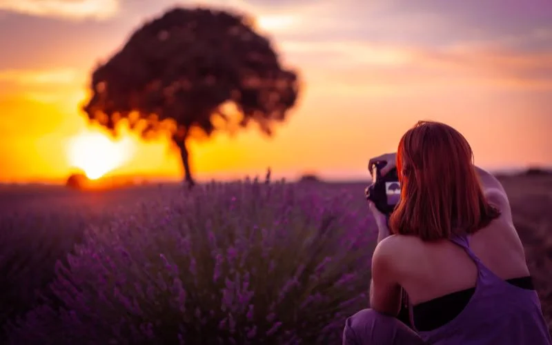 set the white balance of your camera for amazing photos
