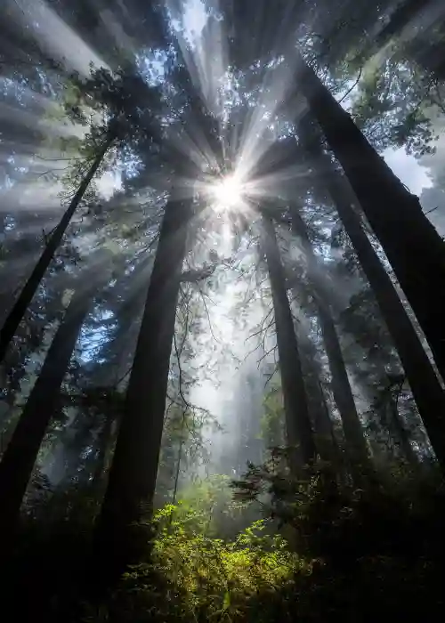 beautiful landscape photos, wide angle photography tutorial, wide angle photography