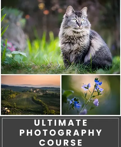 ultimate photography course, beginner's photography course, Photo Essentials, digital photography courses